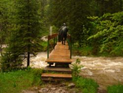 2013-06-01_Regina-F-Rau_Staffelalm_Hochwasser (059).JPG